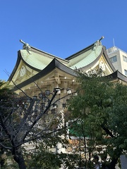 IMG 0 9991